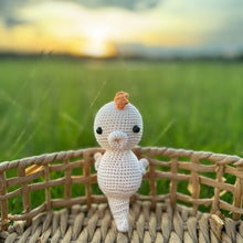 Load image into Gallery viewer, Crocheted Animals

