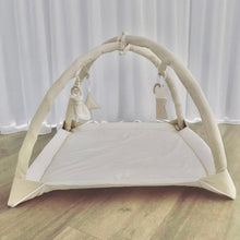 Load image into Gallery viewer, Handmade Play Gym
