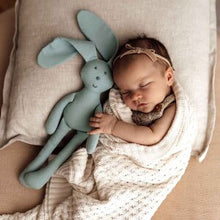 Load image into Gallery viewer, Organic Snuggle Bunny
