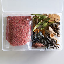Load image into Gallery viewer, Sensory box Australian animals busy toddler box
